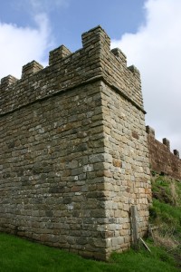 Wall Turret